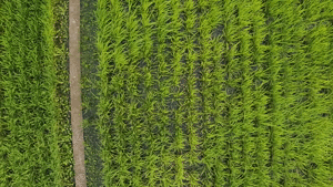 2022kikai_smart_drone2_6.gif