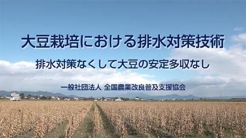 202403_R6daizu.jpg