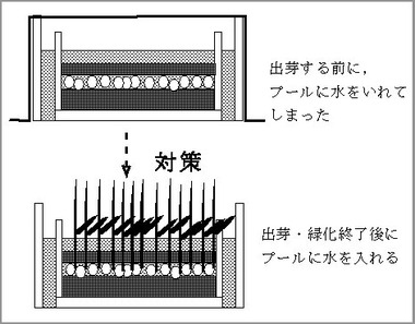 2014_2010ine6-2_image2.jpg
