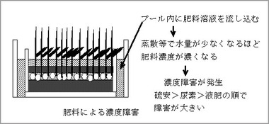 2014_2010ine6-2_image8.jpg