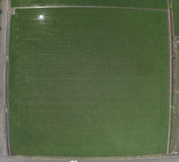 2022kikai_smart_drone2_22.jpg