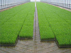 2010ine6-2_image4.jpg