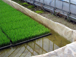 2010ine6-2_image6.jpg