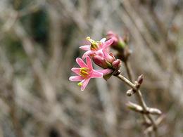 tanimoto145_10.jpg