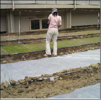 blog_shiosaki4-1.jpg