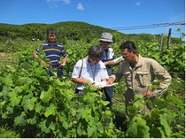 blog_tadokoro52_1.jpg