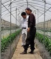 blog_shiosaki124_1.jpg