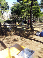 20130224_101354s.jpg