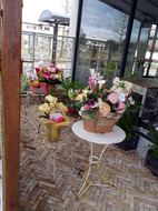 20130322_070815s.jpg