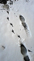 140209_090048s.jpg