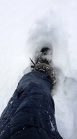 140215_083028s.jpg