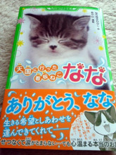 blog_maeda433_1.jpg