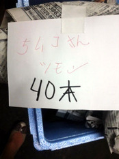 blog_maeda434_1.jpg