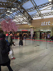 maeda_476_1.jpg
