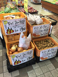 maeda_493_1.jpg