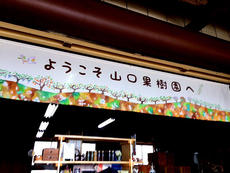 maeda_494_1.jpg