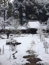 maeda_515_2.jpg
