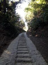 maeda_522_1.jpg