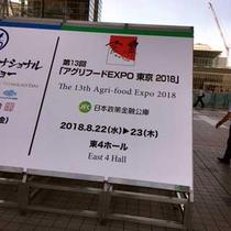 maeda_525_1.jpg