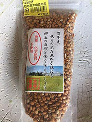 maeda_554_1.jpg