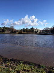 maeda_555_1.jpg