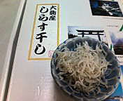201103241302s.jpg