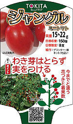 tokita_201803tomatojg1s.jpg